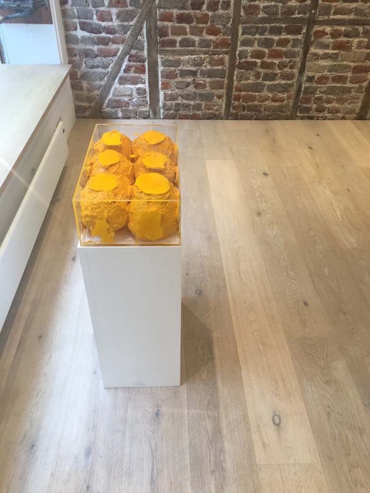 painting / sculpture comprising 8 yellow spheres of acrylic paint in a perspex box
